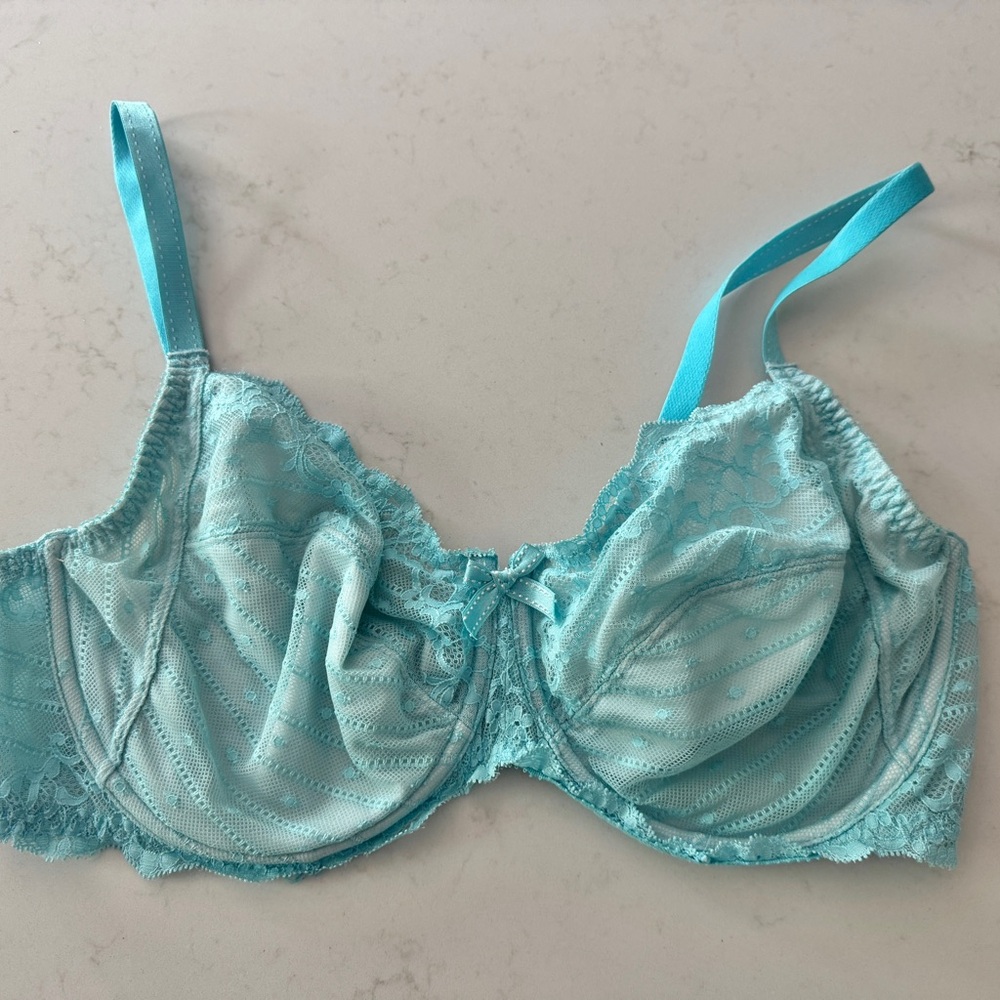 Chantelle Blue Lace Trim Bra